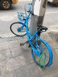 英德共享单车最新爆料,揭秘行业最新爆料与未来趋势  第3张