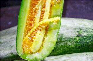 临沂吃瓜网红是谁啊,揭秘临沂地区热门吃瓜达人  第3张 临沂吃瓜网红是谁啊,揭秘临沂地区热门吃瓜达人  第3张