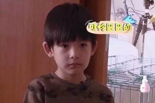 董洁和他儿子爆料视频,母子情深背后的家庭故事  第3张 董洁和他儿子爆料视频,母子情深背后的家庭故事  第3张