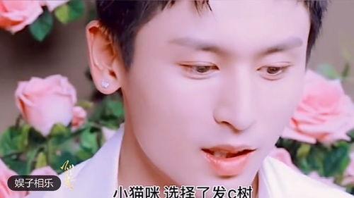 爆料房产视频素材大全集,全方位解析房产营销奥秘  第3张 爆料房产视频素材大全集,全方位解析房产营销奥秘  第3张