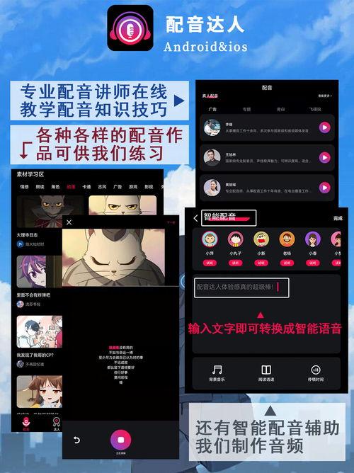 娱乐爆料配音素材视频,揭秘配音素材视频背后的精彩故事  第3张