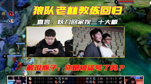 老林直播爆料回狼队视频,回狼队背后的故事与情感纠葛  第2张