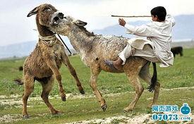 八卦大驴爆料视频播放,揭秘视频播放背后的秘密  第3张