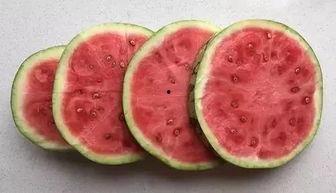 我爱吃瓜官网免费吃瓜在线,我爱吃瓜官网带你开启甜蜜之旅  第3张 我爱吃瓜官网免费吃瓜在线,我爱吃瓜官网带你开启甜蜜之旅  第3张