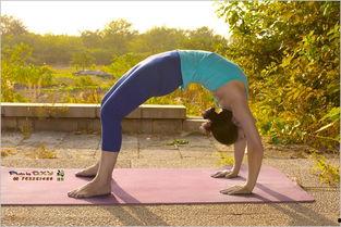 功夫瑜伽在线观看免费,免费在线观看,畅享东方传奇魅力