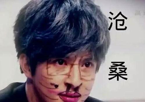 薛之谦泥潭爆料视频大全,揭秘背后真相与情感纠葛  第2张 薛之谦泥潭爆料视频大全,揭秘背后真相与情感纠葛  第2张
