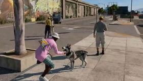 狗哥爆料新鞋视频大全,新鞋视频大全大放送!